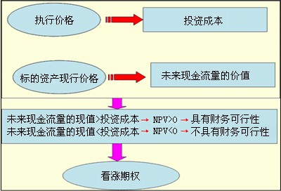 如何分析和利用超低期权进行投资决策