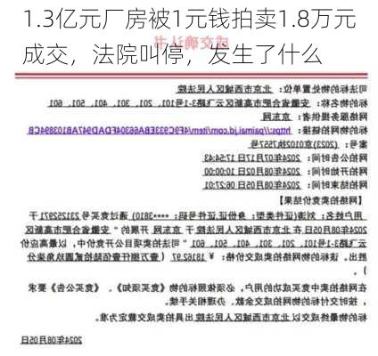 1.3亿元厂房被1元钱拍卖1.8万元成交，法院叫停，发生了什么