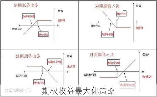 期权收益最大化策略