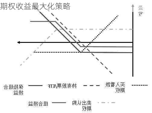 期权收益最大化策略