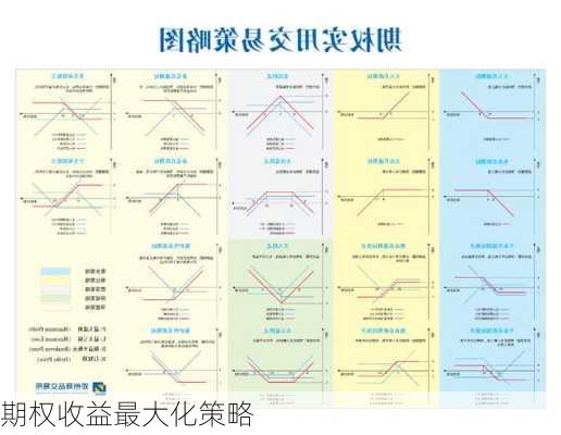 期权收益最大化策略