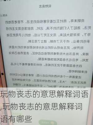 玩物丧志的意思解释词语,玩物丧志的意思解释词语有哪些