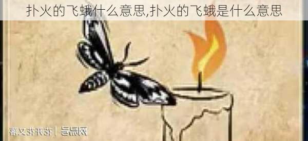 扑火的飞蛾什么意思,扑火的飞蛾是什么意思