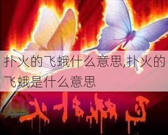 扑火的飞蛾什么意思,扑火的飞蛾是什么意思