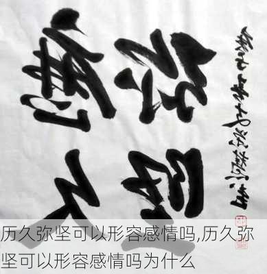 历久弥坚可以形容感情吗,历久弥坚可以形容感情吗为什么