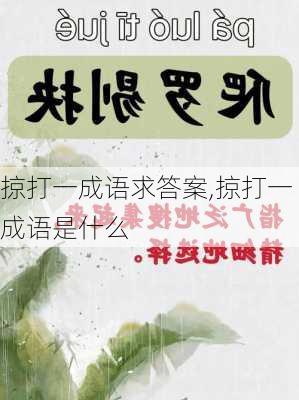 掠打一成语求答案,掠打一成语是什么