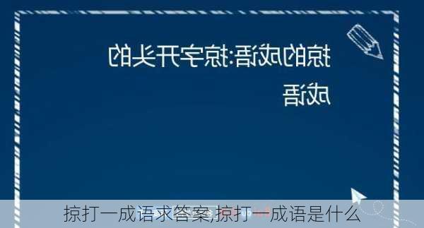 掠打一成语求答案,掠打一成语是什么