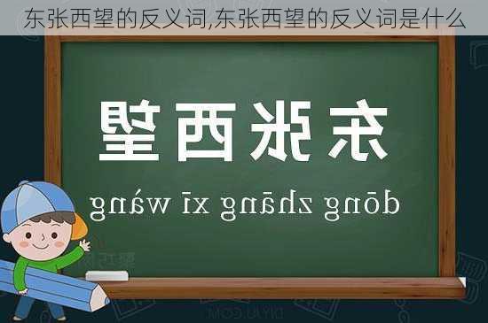 东张西望的反义词,东张西望的反义词是什么