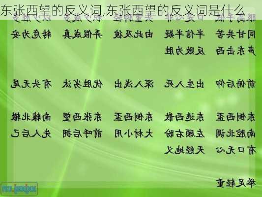 东张西望的反义词,东张西望的反义词是什么