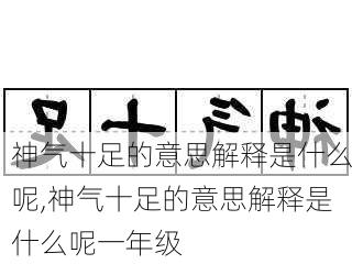 神气十足的意思解释是什么呢,神气十足的意思解释是什么呢一年级