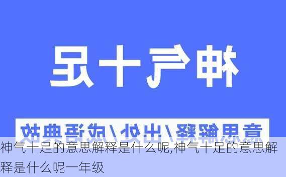 神气十足的意思解释是什么呢,神气十足的意思解释是什么呢一年级