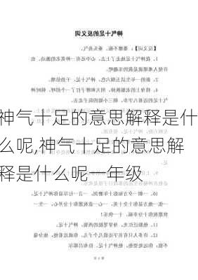 神气十足的意思解释是什么呢,神气十足的意思解释是什么呢一年级