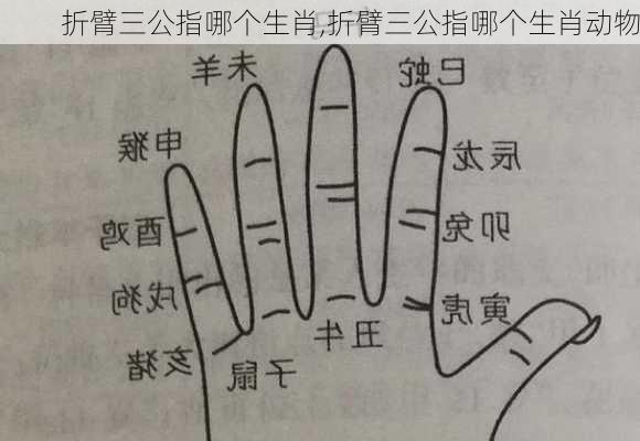 折臂三公指哪个生肖,折臂三公指哪个生肖动物