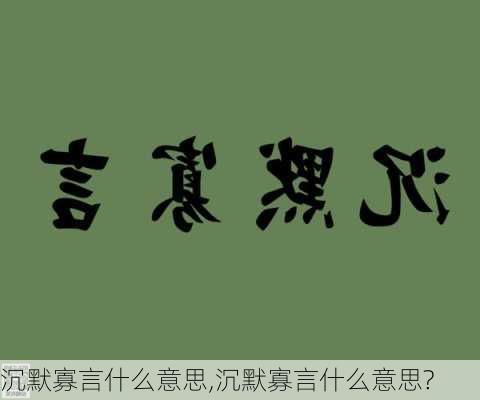 沉默寡言什么意思,沉默寡言什么意思?