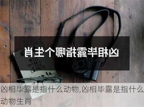 凶相毕露是指什么动物,凶相毕露是指什么动物生肖