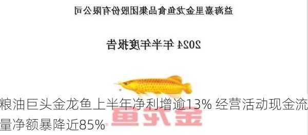 粮油巨头金龙鱼上半年净利增逾13% 经营活动现金流量净额暴降近85%