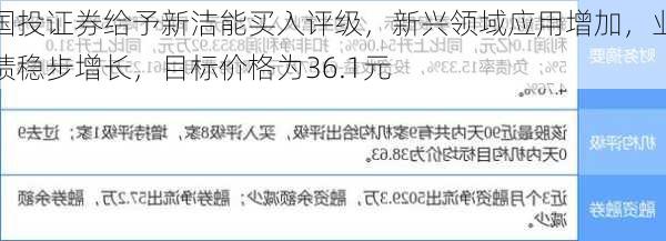 国投证券给予新洁能买入评级，新兴领域应用增加，业绩稳步增长，目标价格为36.1元