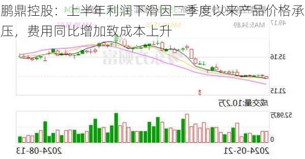 鹏鼎控股：上半年利润下滑因二季度以来产品价格承压，费用同比增加致成本上升