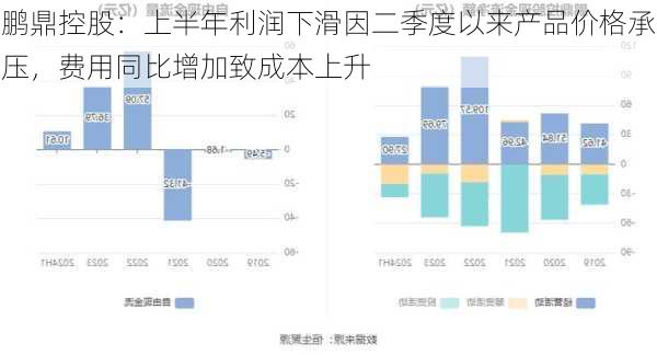 鹏鼎控股：上半年利润下滑因二季度以来产品价格承压，费用同比增加致成本上升