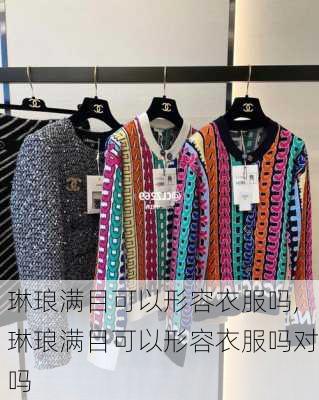 琳琅满目可以形容衣服吗,琳琅满目可以形容衣服吗对吗