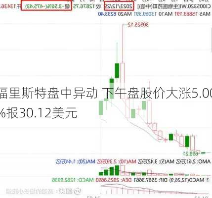 福里斯特盘中异动 下午盘股价大涨5.00%报30.12美元