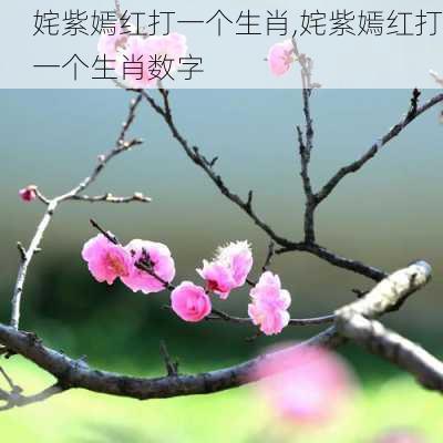 姹紫嫣红打一个生肖,姹紫嫣红打一个生肖数字