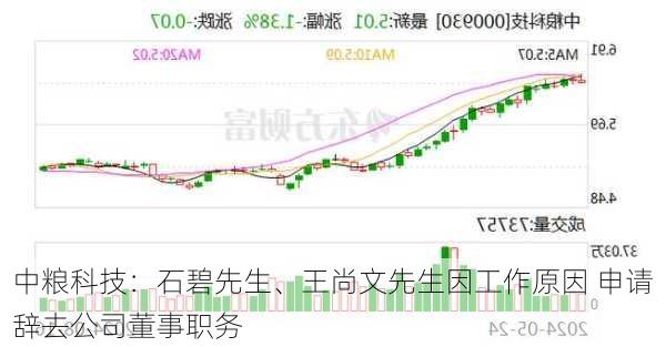 中粮科技：石碧先生、王尚文先生因工作原因 申请辞去公司董事职务