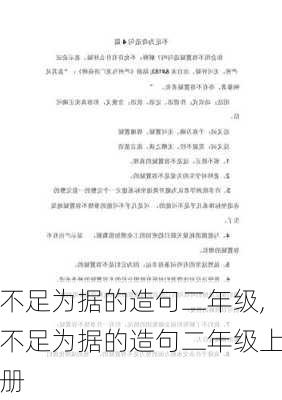 不足为据的造句二年级,不足为据的造句二年级上册