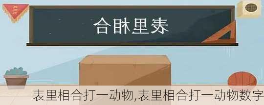 表里相合打一动物,表里相合打一动物数字