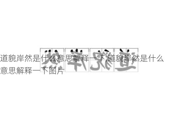 道貌岸然是什么意思解释一下,道貌岸然是什么意思解释一下图片