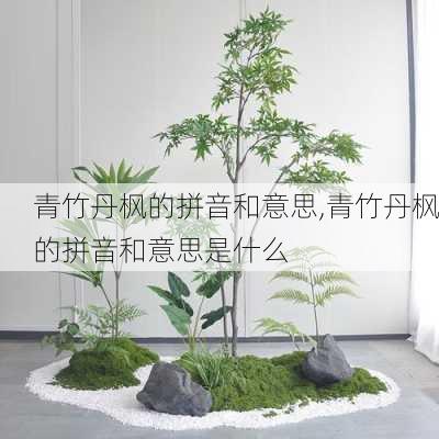 青竹丹枫的拼音和意思,青竹丹枫的拼音和意思是什么