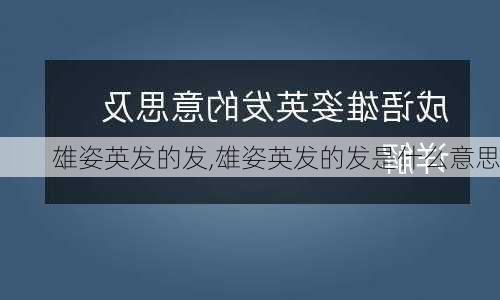 雄姿英发的发,雄姿英发的发是什么意思