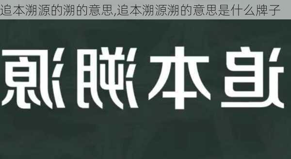 追本溯源的溯的意思,追本溯源溯的意思是什么牌子