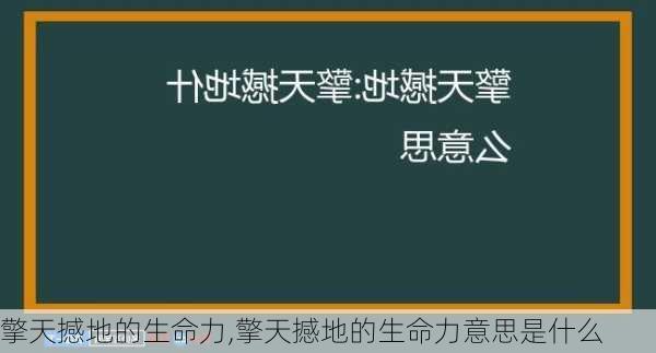 擎天撼地的生命力,擎天撼地的生命力意思是什么