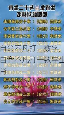 自命不凡打一数字,自命不凡打一数字生肖