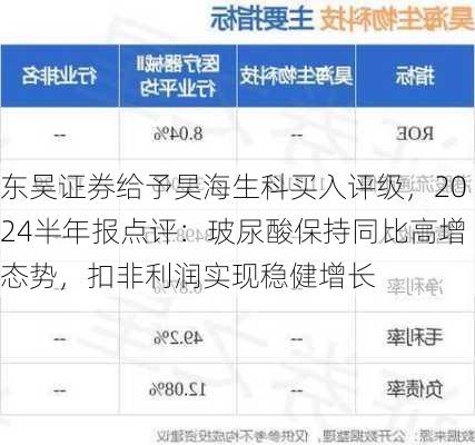 东吴证券给予昊海生科买入评级，2024半年报点评：玻尿酸保持同比高增态势，扣非利润实现稳健增长