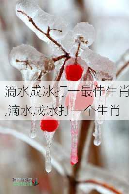 滴水成冰打一最佳生肖,滴水成冰打一个生肖