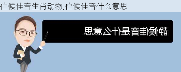 伫候佳音生肖动物,伫候佳音什么意思