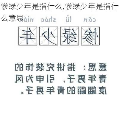 惨绿少年是指什么,惨绿少年是指什么意思