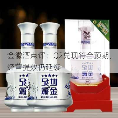 金徽酒点评：Q2兑现符合预期，经营提效仍延续