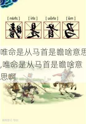 唯命是从马首是瞻啥意思,唯命是从马首是瞻啥意思啊