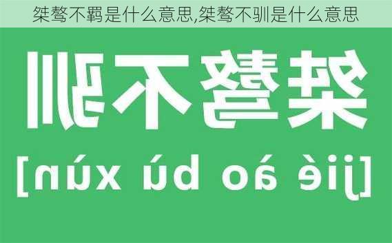 桀骜不羁是什么意思,桀骜不驯是什么意思