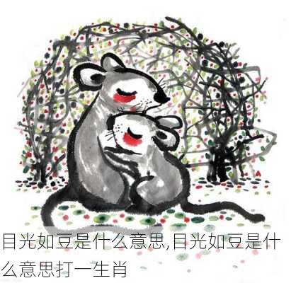 目光如豆是什么意思,目光如豆是什么意思打一生肖