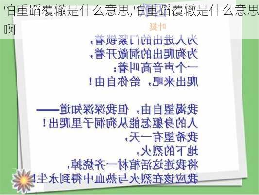 怕重蹈覆辙是什么意思,怕重蹈覆辙是什么意思啊