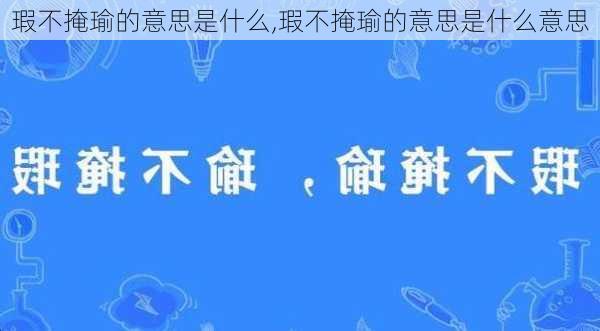 瑕不掩瑜的意思是什么,瑕不掩瑜的意思是什么意思