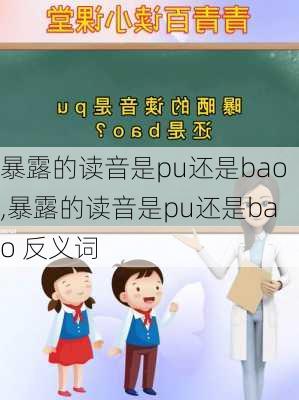 暴露的读音是pu还是bao,暴露的读音是pu还是bao 反义词