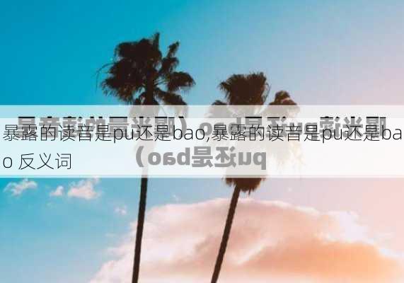 暴露的读音是pu还是bao,暴露的读音是pu还是bao 反义词