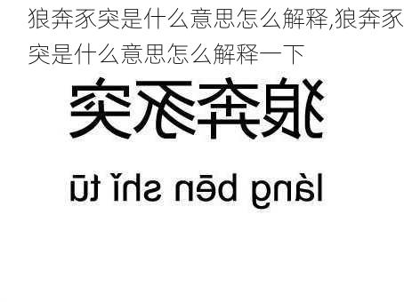 狼奔豕突是什么意思怎么解释,狼奔豕突是什么意思怎么解释一下