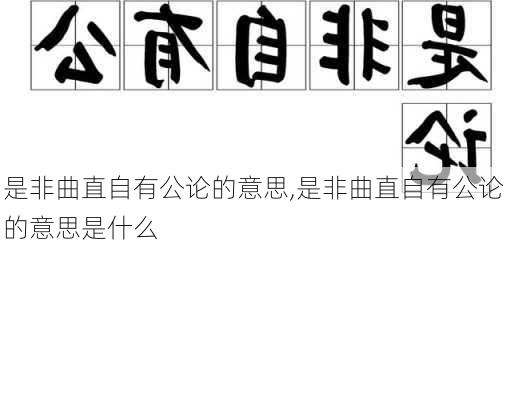 是非曲直自有公论的意思,是非曲直自有公论的意思是什么