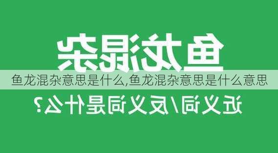 鱼龙混杂意思是什么,鱼龙混杂意思是什么意思